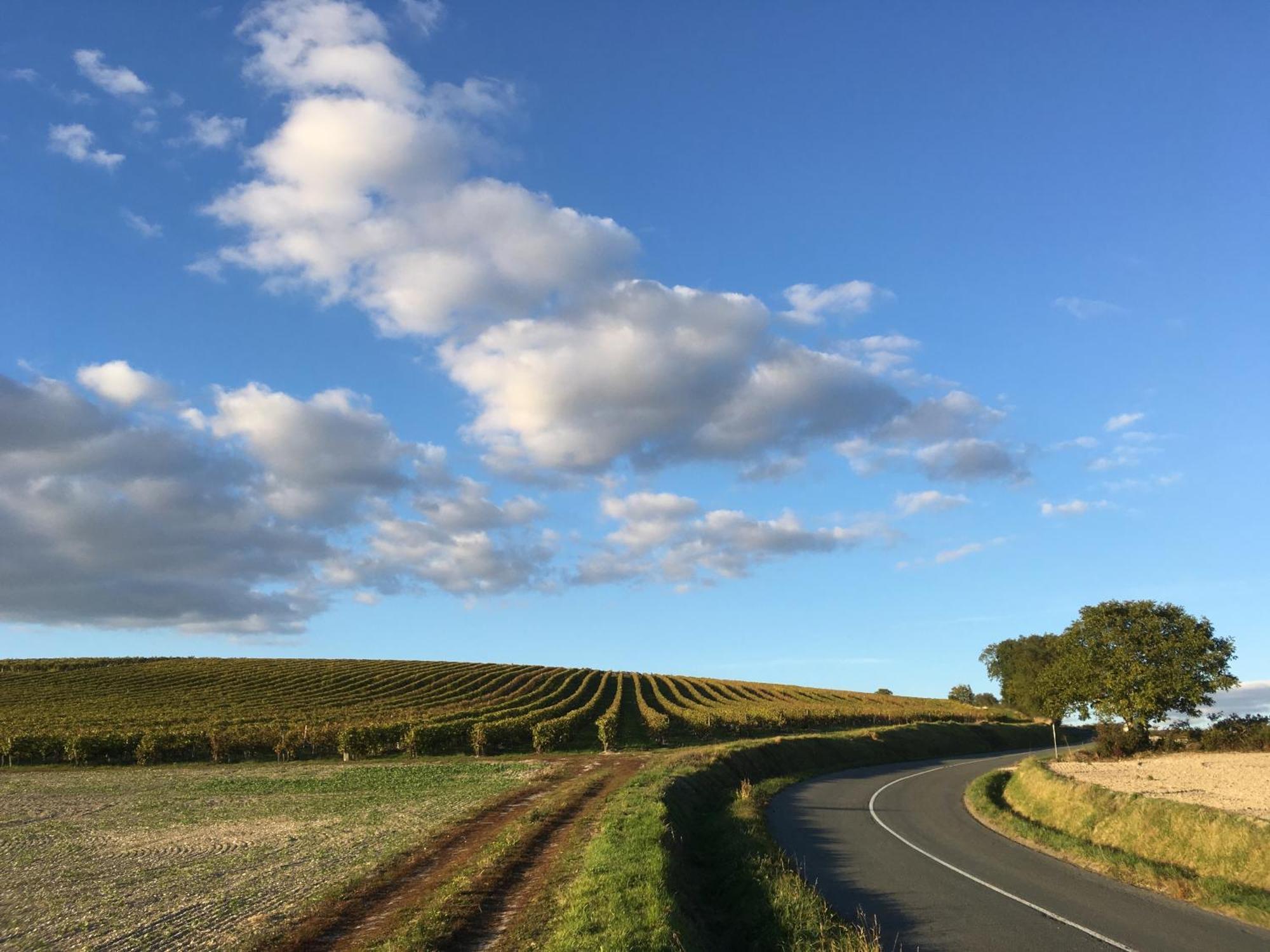 ベルネイユ Domaine Chez Les Rois Bed & Breakfast エクステリア 写真